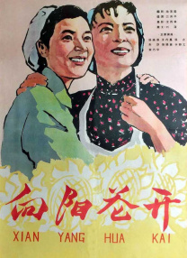 天天综合久久久网
